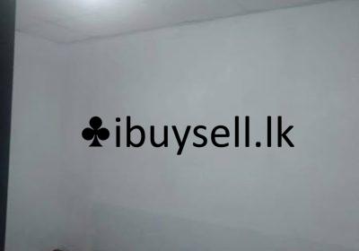 481506139_3428266960638323_1382518967890667936_n