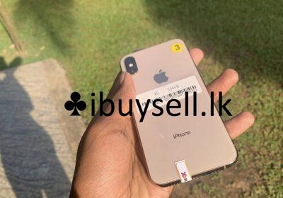 481568852_122193375650249591_5700160019432100133_n