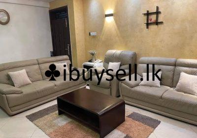 481657274_1200632882062769_6075239246022737198_n