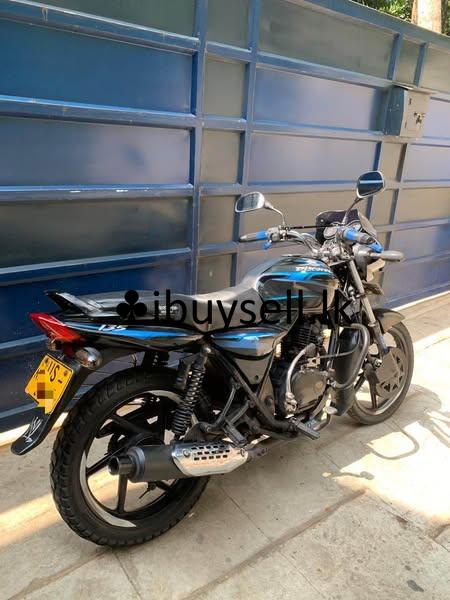 Discover 135cc disk model for sale!