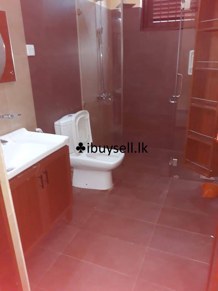 Two storied fully furnished Luxury house in Pitta kotte for rent