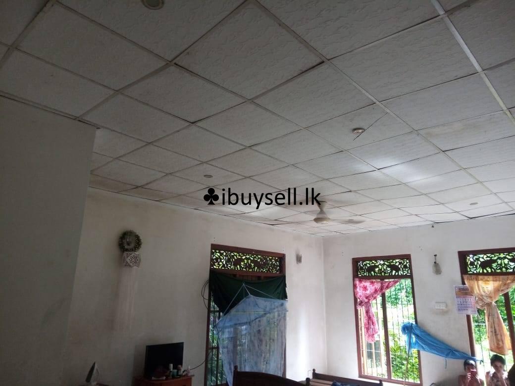 ️Sale for a valuable house… Calm & peaceful environment at Jaela , Yakkaduduwa…