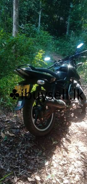 Pulser Bike For Sale