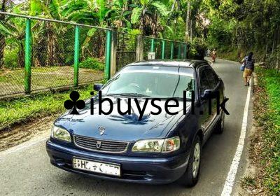 481763983_677289438059455_2643022622146486193_n