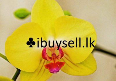 481772489_1832012997564925_7020455256902670479_n