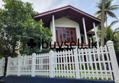 481773590_1336997637564978_107121159300345999_n