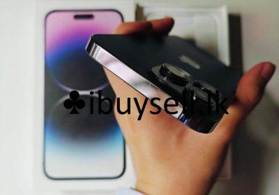 481781303_1217225303100124_6664596102405517779_n