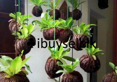 481942511_2061961010951321_4489218408095960339_n