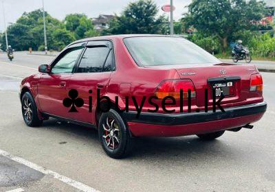 481994078_1955296858633493_6740256190451391697_n