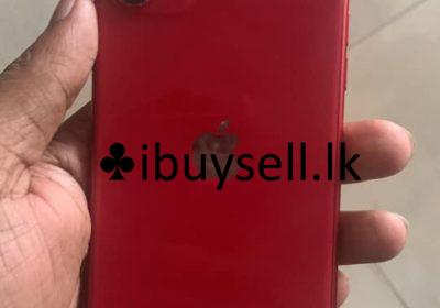 481995045_28839011102412483_2560100796228766879_n