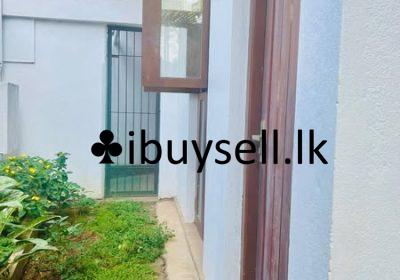 482002589_1057880693045943_1020197994161067299_n