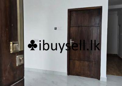 482017783_2112625422517888_2357905221022129596_n