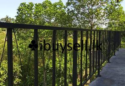 482030100_10236764674481606_7442147684709665024_n