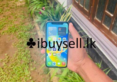 482079974_122136923252579243_2618522211084313271_n