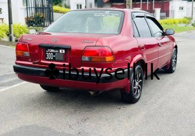 482082387_1069281571895041_7024871221764439530_n