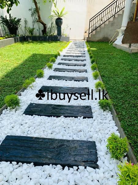 Inter lock Pawing and Malaysian Carpet Grass