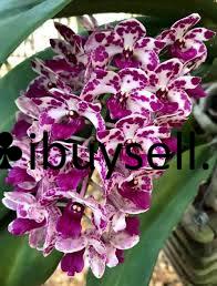 482087490_1033988048618135_5148013550317209285_n