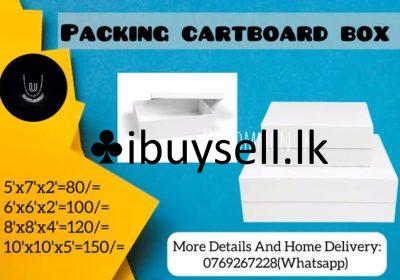 482201781_122200586144248499_2084410557104081727_n