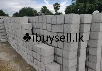 482206973_630991619683771_2032896165881459120_n