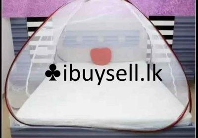 482212947_1223051102570231_5866488996019634425_n