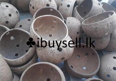 482252945_122202951320245838_5009392948054181839_n