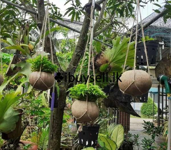 flower pot..  for sale