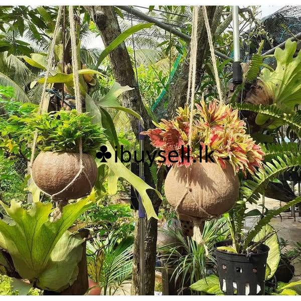 flower pot..  for sale