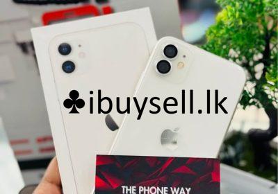 482265814_536518059469719_8488593918892361041_n