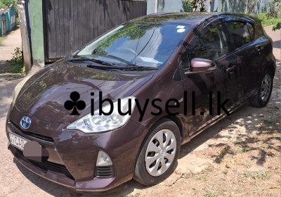 482317945_1135212891633730_4693352706235052556_n