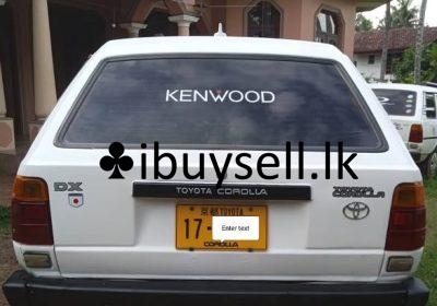 482318775_1055077099743869_9178050402195644163_n