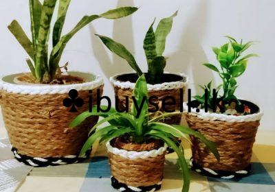 482321442_3029458513881763_8779962682019751140_n