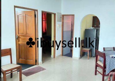 482322316_122142550472404016_6186447077007964536_n