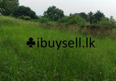 482323795_648055411278847_6858510165596945702_n