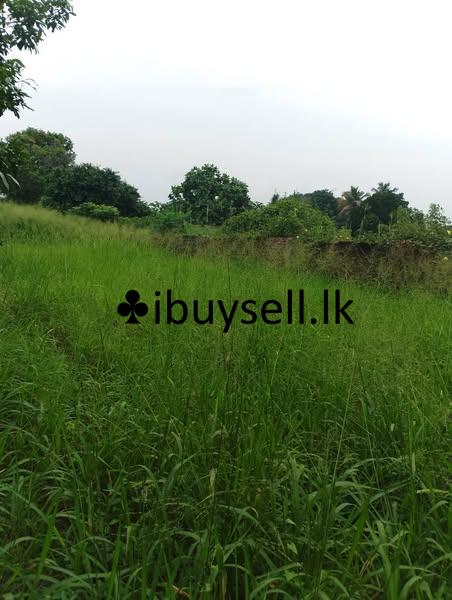 Land for sale in Piliyandala