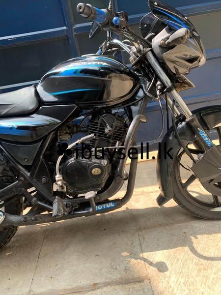 Discover 135cc disk model for sale!