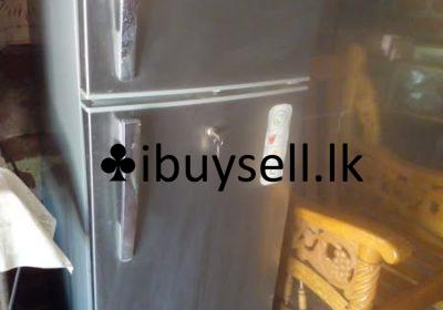 482347454_2477811052562091_8465952868947482513_n