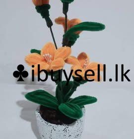 482842058_650009327680827_4979472259175579071_n