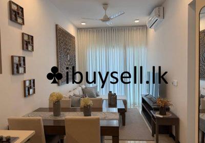 483064693_3814508258799210_6759182353525819013_n