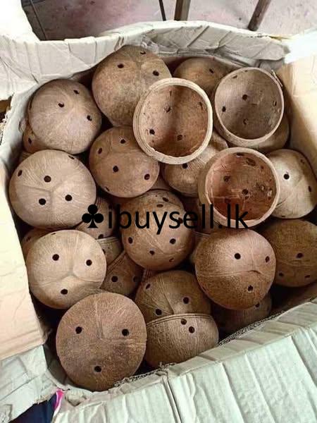 flower pot..  for sale