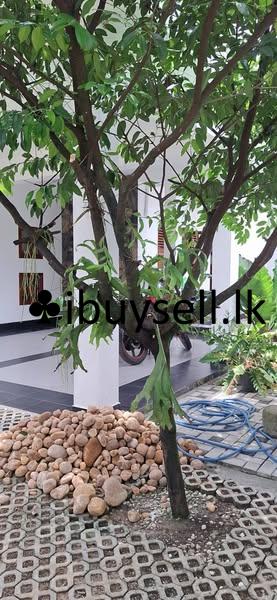 House for sale -Kottawa