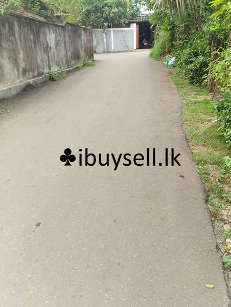 Land for sale in Piliyandala