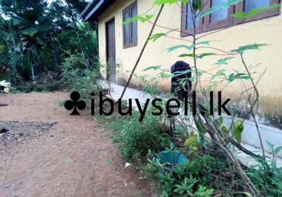 483907696_1462877001354937_1235312757305043219_n