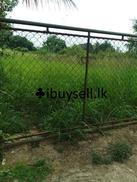 Land for sale in Piliyandala