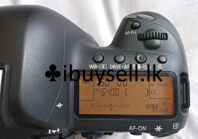 484545158_122116392620760806_2953073411777795567_n