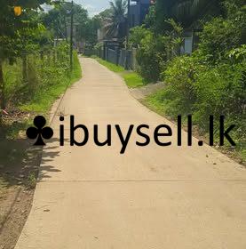 484808080_2881709248655644_646134725006192118_n