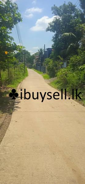 Land & House for sale in Kalaniya
