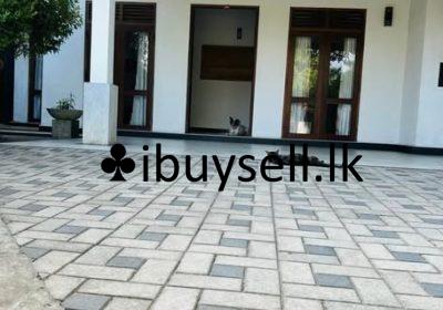 484829194_122207721998179907_312354414558539687_n