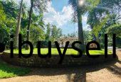 Over 10 Acres of Land for Sale in Paththalagedara, Nittambuwa