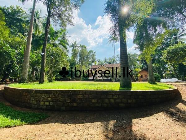 Over 10 Acres of Land for Sale in Paththalagedara, Nittambuwa