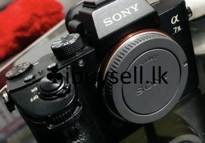 484904926_122191787174145508_8760065051524540300_n